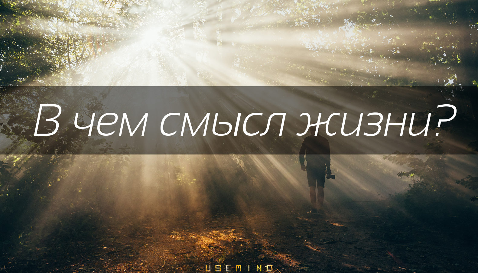 В чем смысл вашей жизни